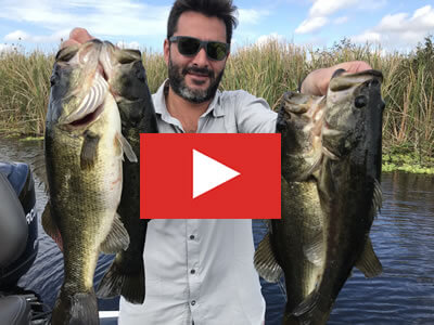 Fisherman holding a trophy largemouth bass (Micropterus salmoides