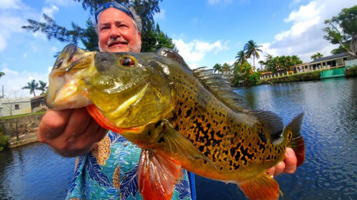 Florida fishing charters-fishing packages