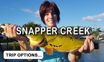 Snapper Creek Canal - Miami Dade Peacock Bass Fishing Guide In Florida