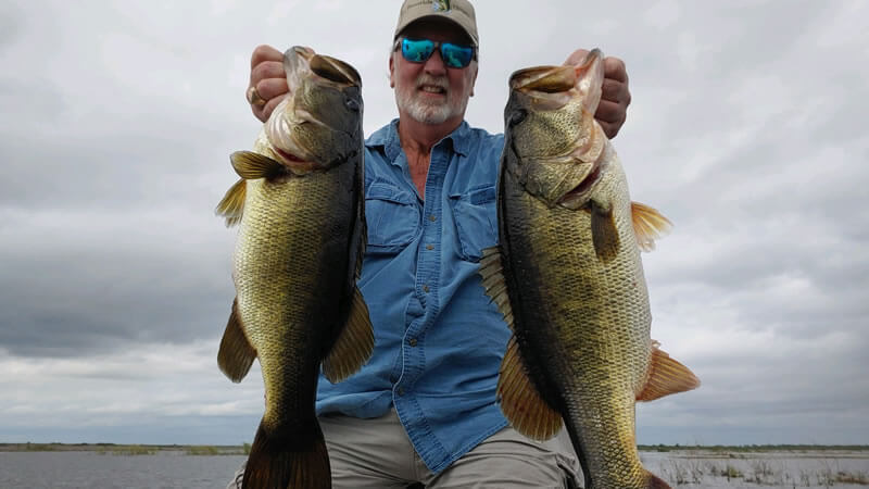 How to Use Soft Plastics to Catch Bigger Largemouth Bass