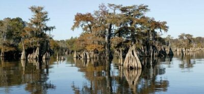 Lake Wimico Fl