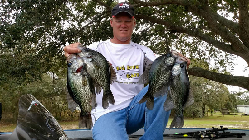 fish near standing timber and brush piles