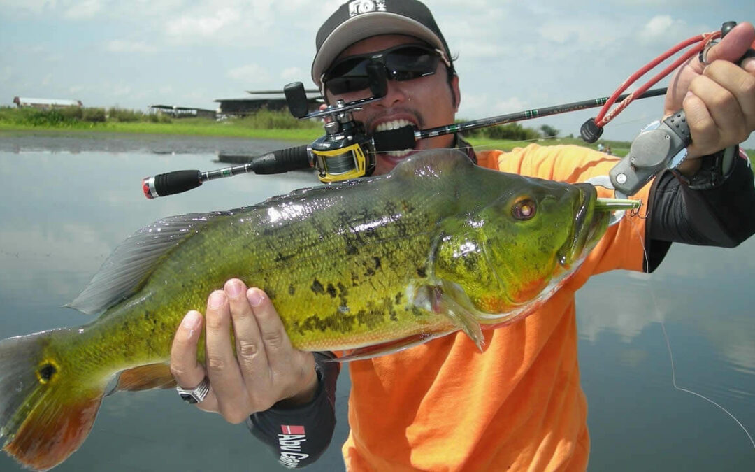 fishing planet how to catch florida peacock bass