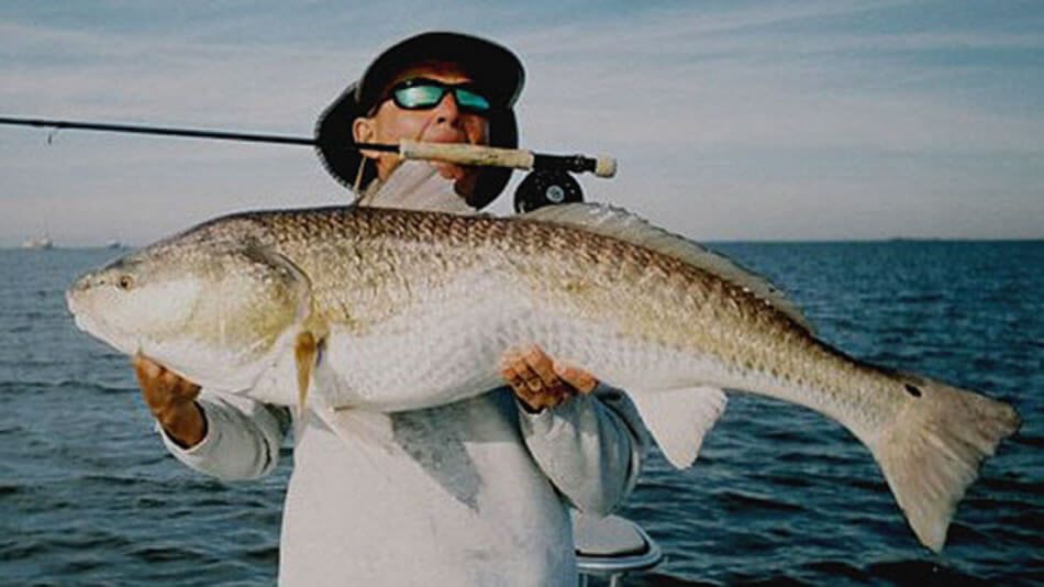 Beautiful Redfish near Vero Beach