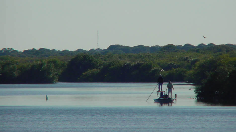 North Indian River Lagoon Fishing Report