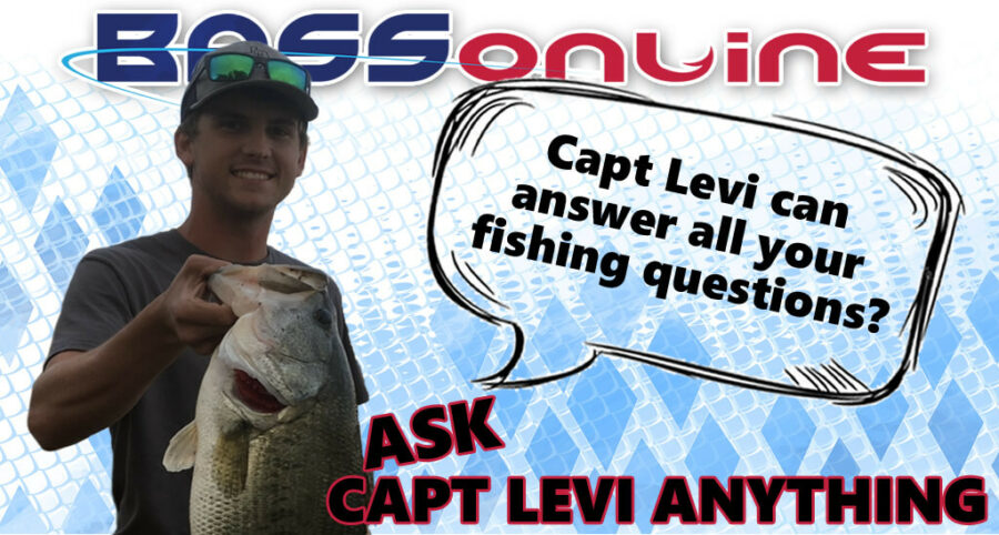 Capt Levi Questions