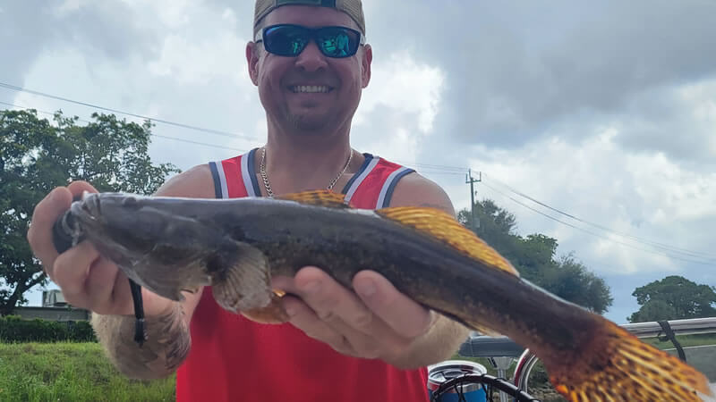 Snakehead Fishing