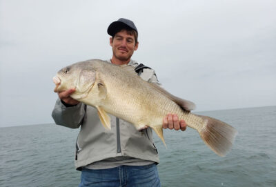 Freshwater Drum  How To Catch Drum, Guide Tips To Locate!