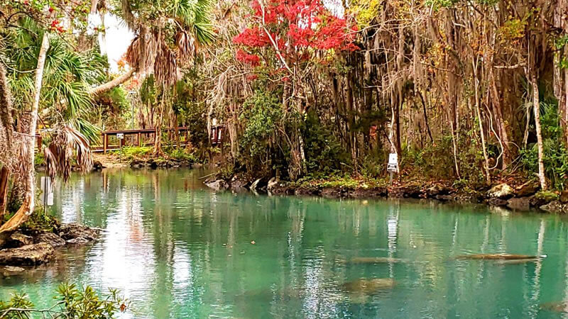 Top Florida destination Crystal River