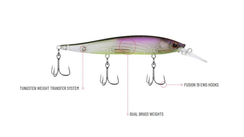 Fusion EXTREME - Sexy Shad – Lucky Bug Lures