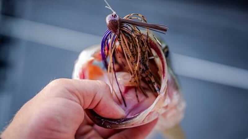 Swim Lessons: Swim Jig Presentations for Shallow Bass - Game & Fish