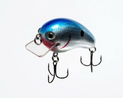 Crankbait Lure