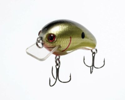 Dirty Deep Diving Crankbait: Fire Fish