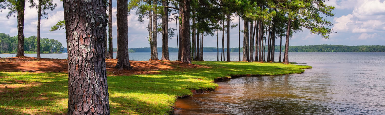 Deep forests encircling West Point Lake