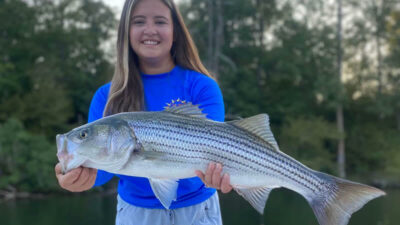 Fishing for Striped Bass With Live Bait