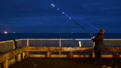 Striper caught at night