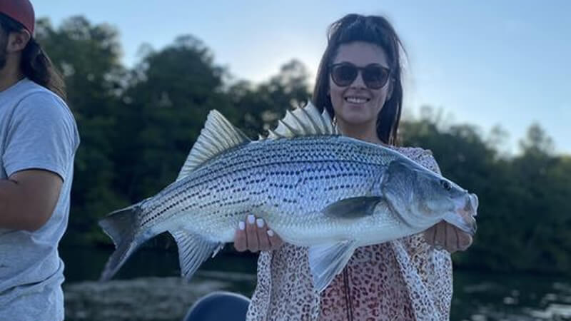 Striper Bass Fishing - fishing in Stockton