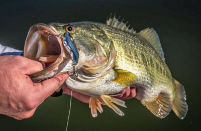 Know The Differences In Rattles To Increase Your Bass Fishing Success! 