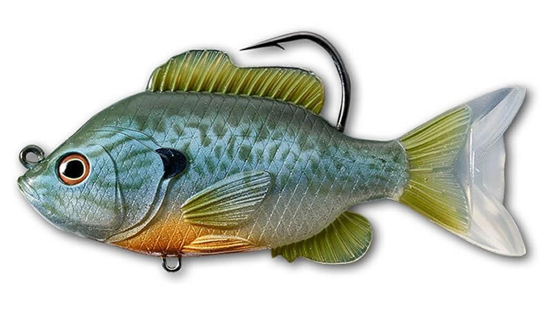 Best Soft Plastic Swimbait in 2023 - [Top 6 Review] 