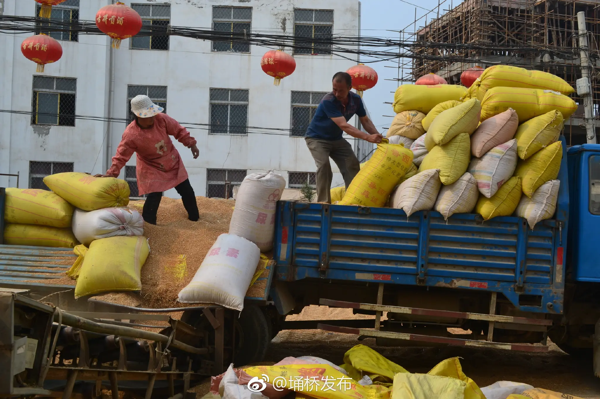 China Subsidi Rp21 Triliun untuk Petani Gandum