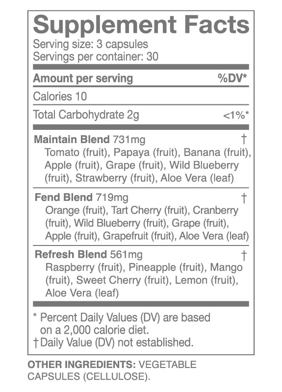 Fruits — A Blend of 16 Whole Fruits - Suplement Facts