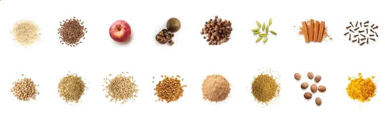 Fiber & Spice — A Blend of Fiber & 12 Spices - Ingredients