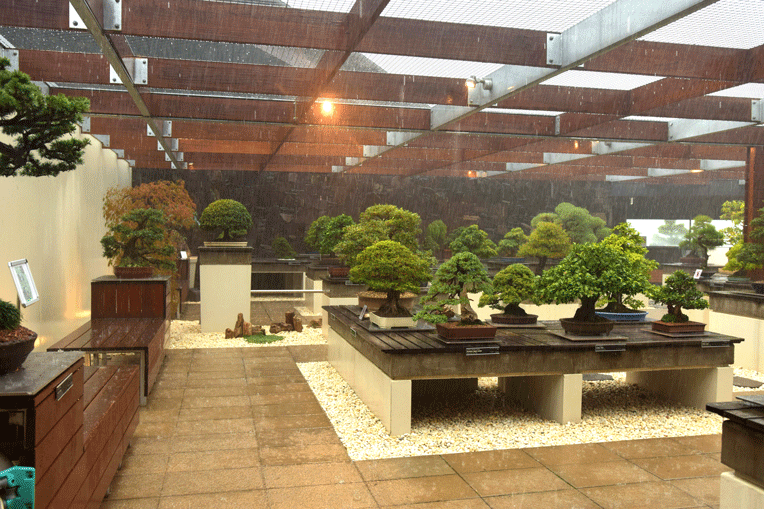 open-roof-lets-the-rain-come-through