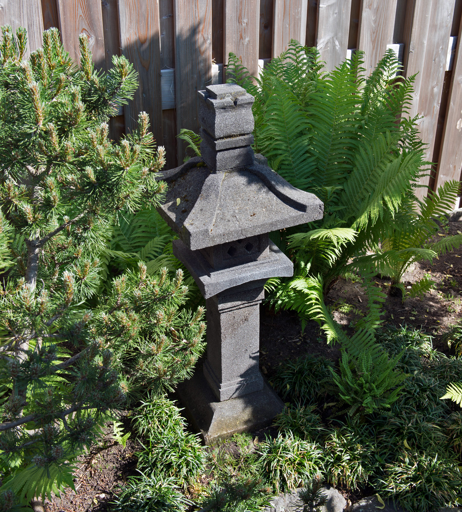 Holland-En  Bonsai Today