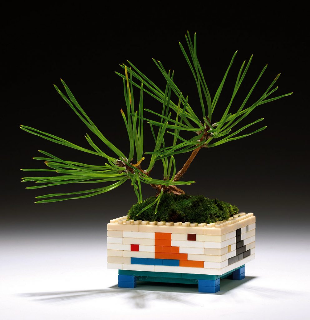 LEGO IDEAS - Bonsai Pine Tree