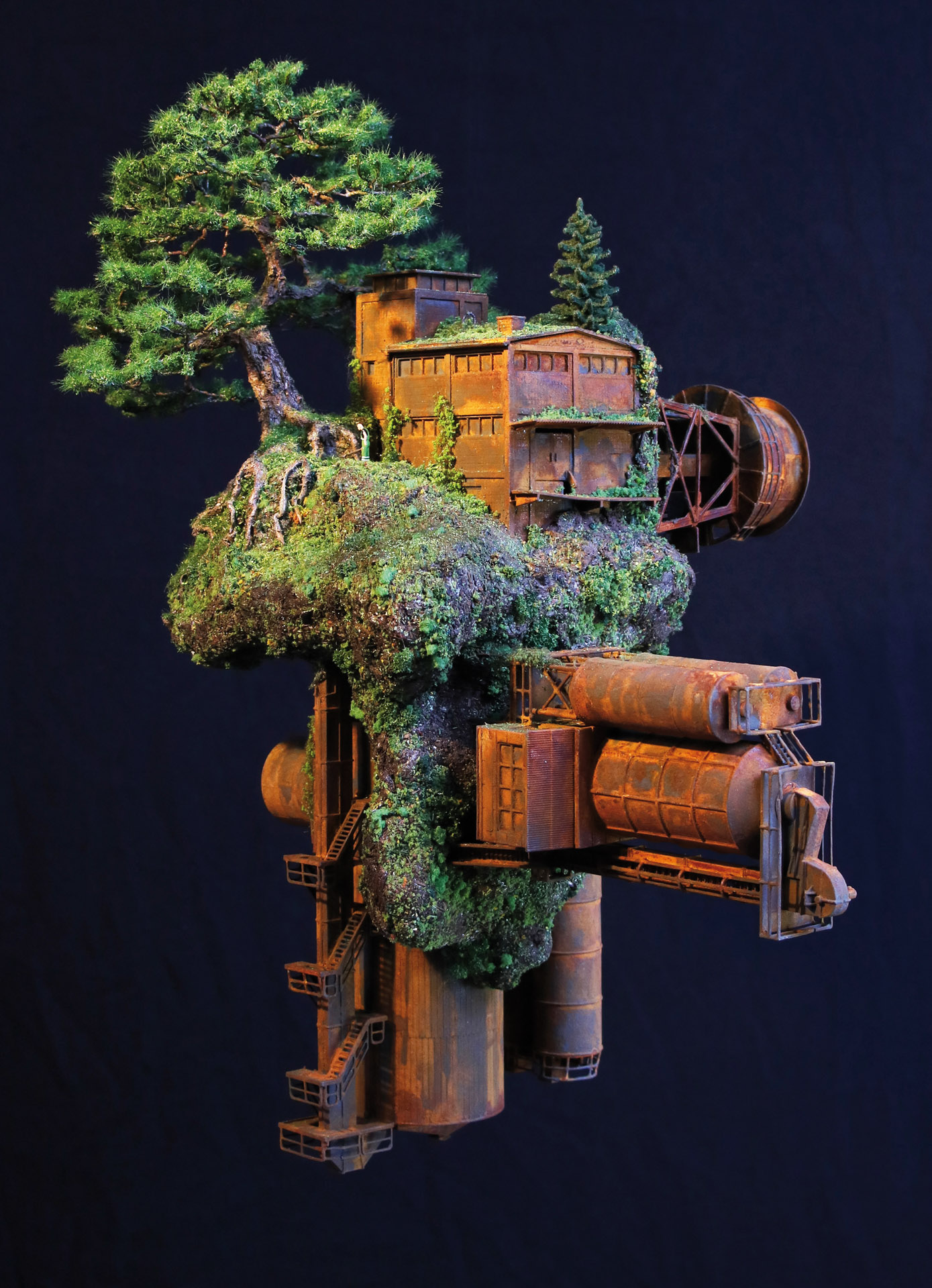 Is it real? – Bonsai Today