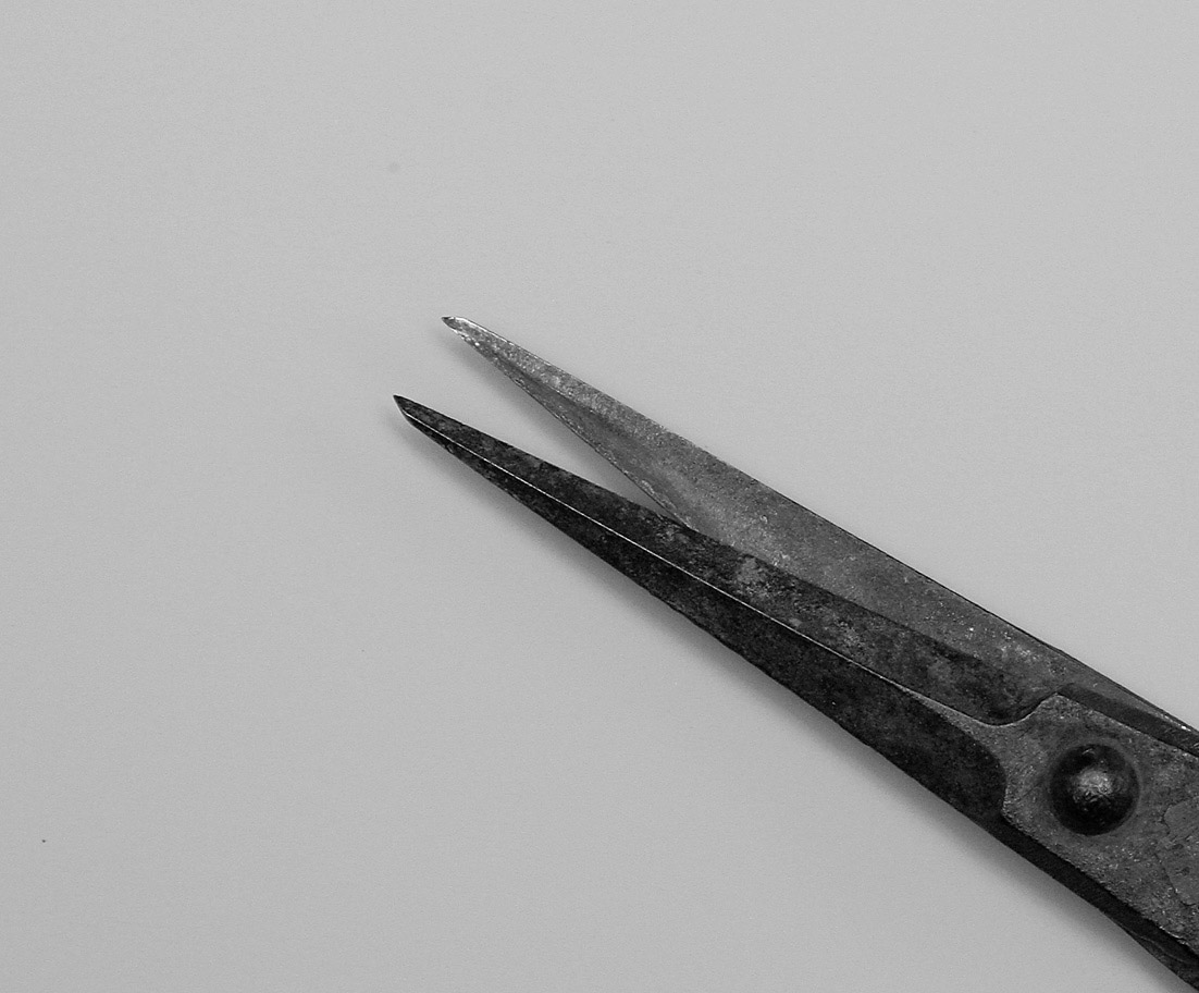 Shiny blades Bonsai Today