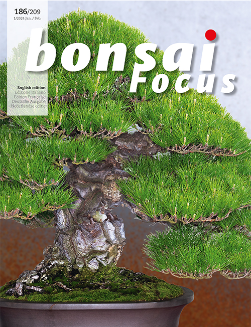 Bonsai Focus 20241 Bonsai Today