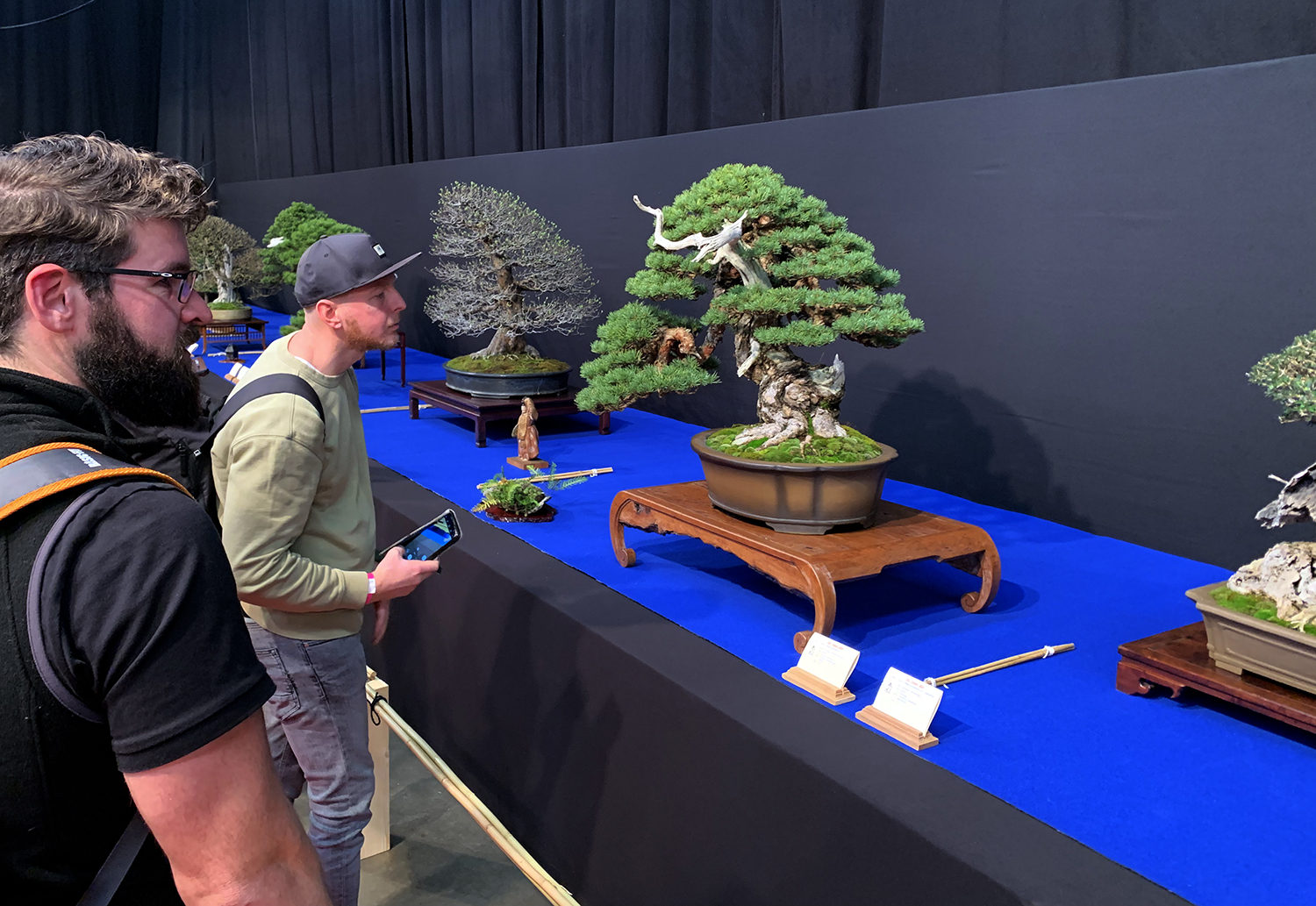 The Trophy 2024 Video Bonsai Today   6f866c98 Trophy Genk 2024 9803 