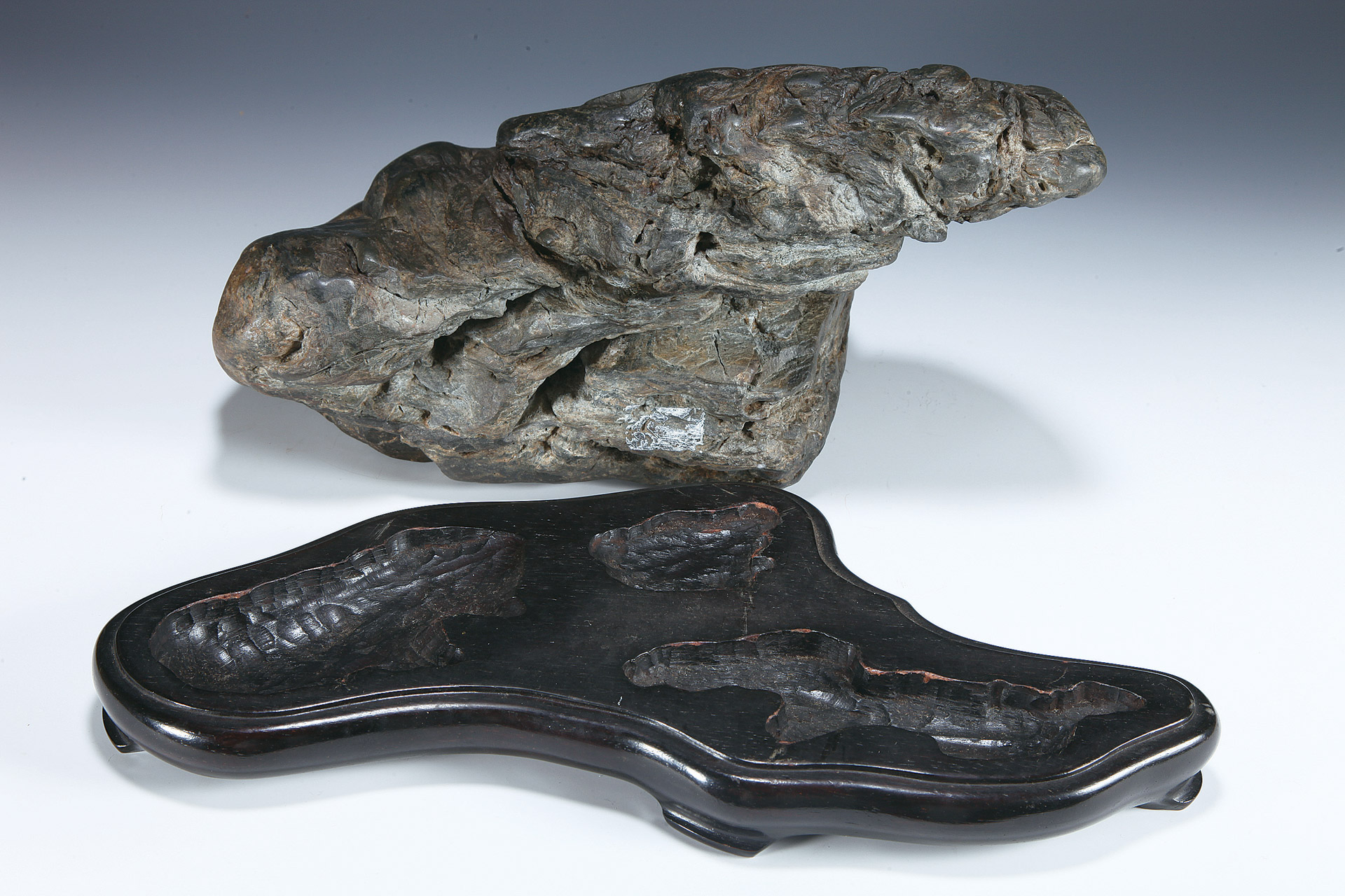 The whirlpool stone – Bonsai Today