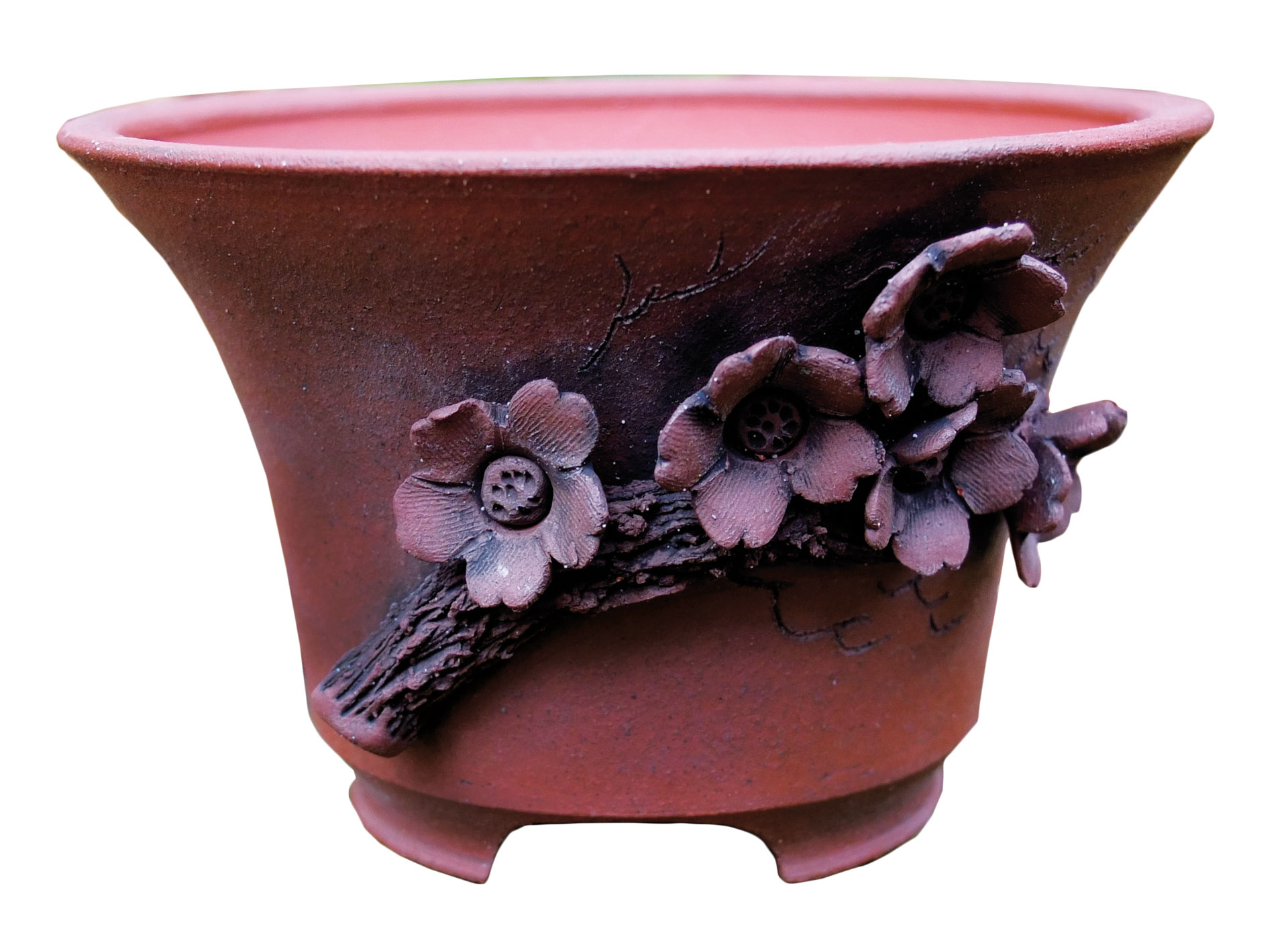 The Stone monkey – Bonsai Today