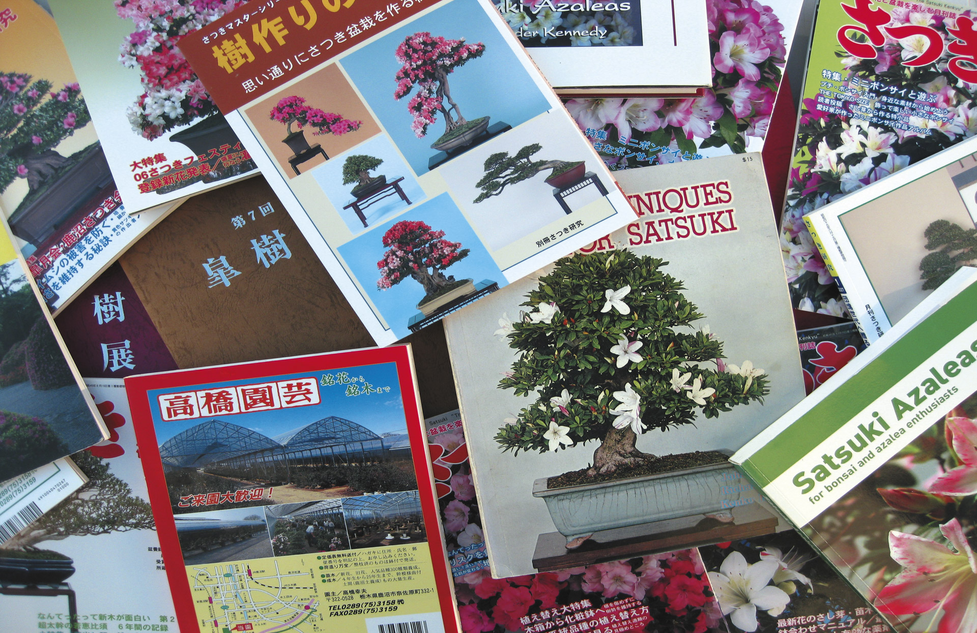 Styles – Bonsai Today