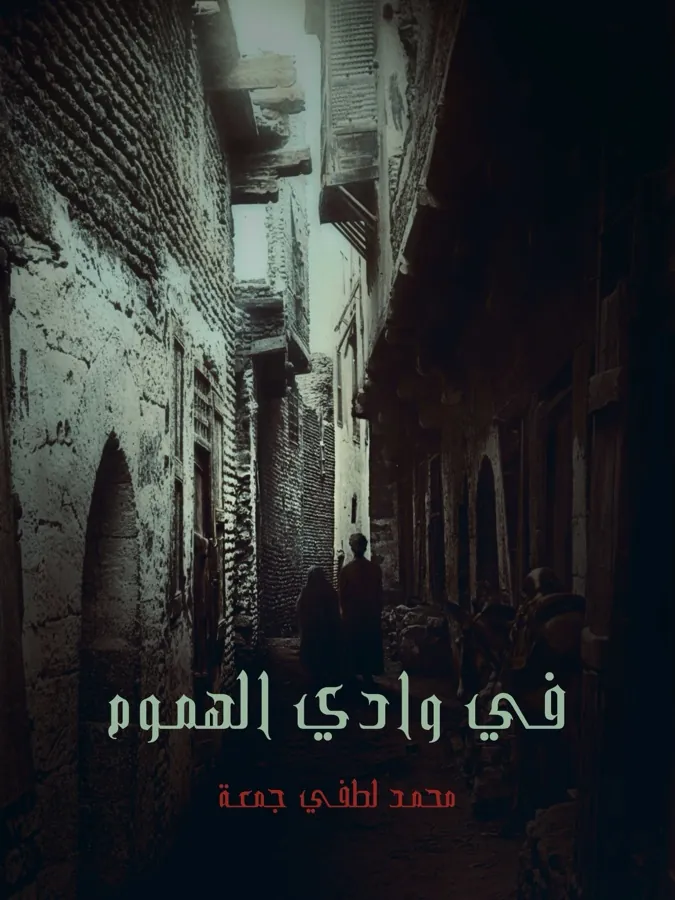غلاف في وادي الهموم لـمحمد لطفي جمعة