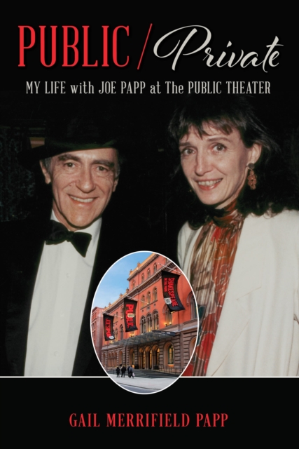 Public/Private av Gail Merrifield Papp