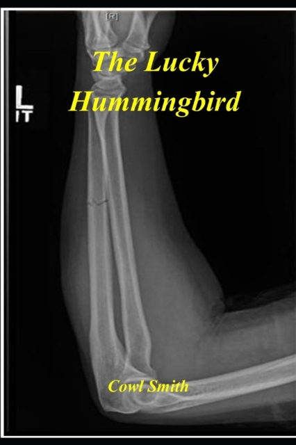 The Lucky Hummingbird