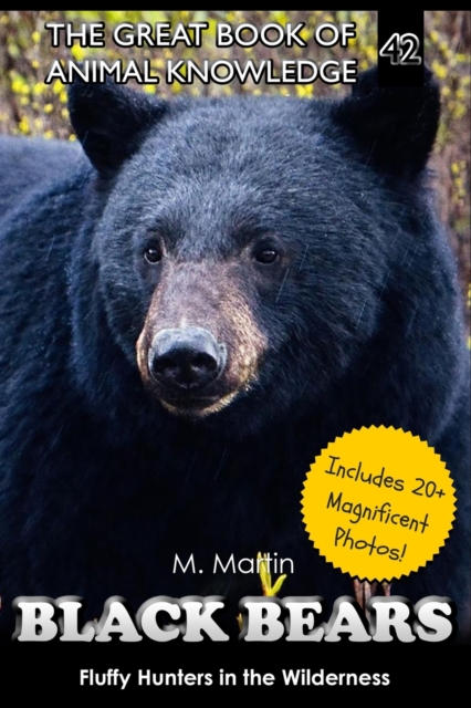 Black Bears