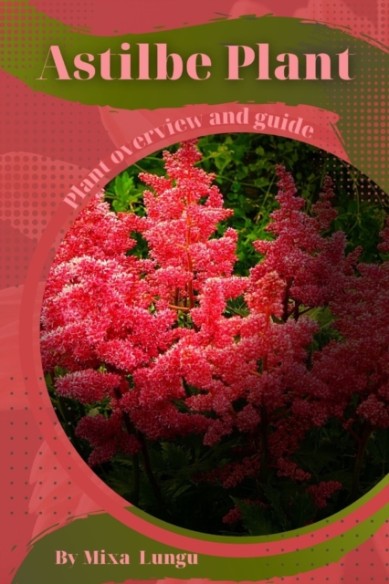 Astilbe Plant: Plant Overview And Guide