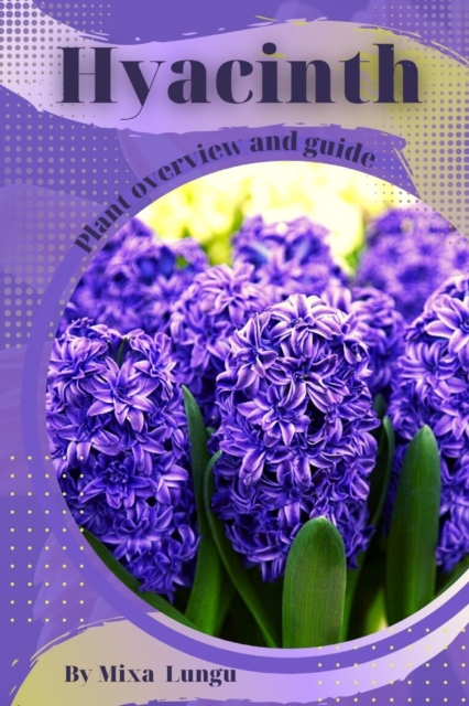 Hyacinth