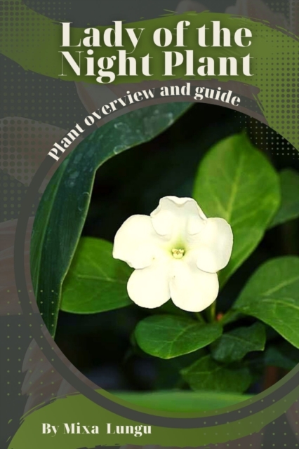 Lady of the Night Plant