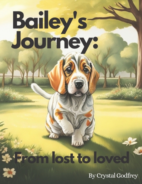 Bailey's Journey - From Lost to Loved