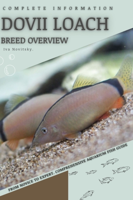 Dovii Loach
