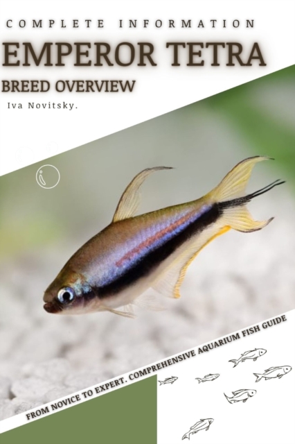 Emperor Tetra
