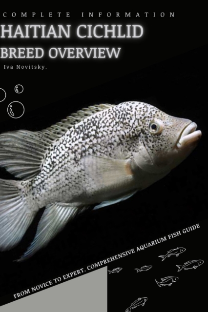Haitian Cichlid