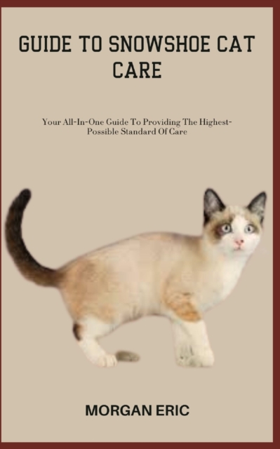 Guide to Snowshoe Cat Care