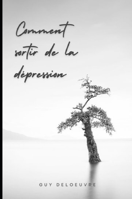 Comment Sortir de la Depression