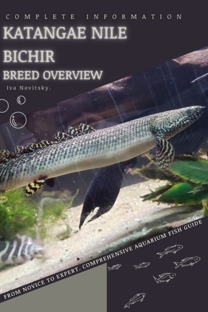 Katangae Nile Bichir